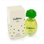 عطر جري بول أو دو بارفان 100 مل